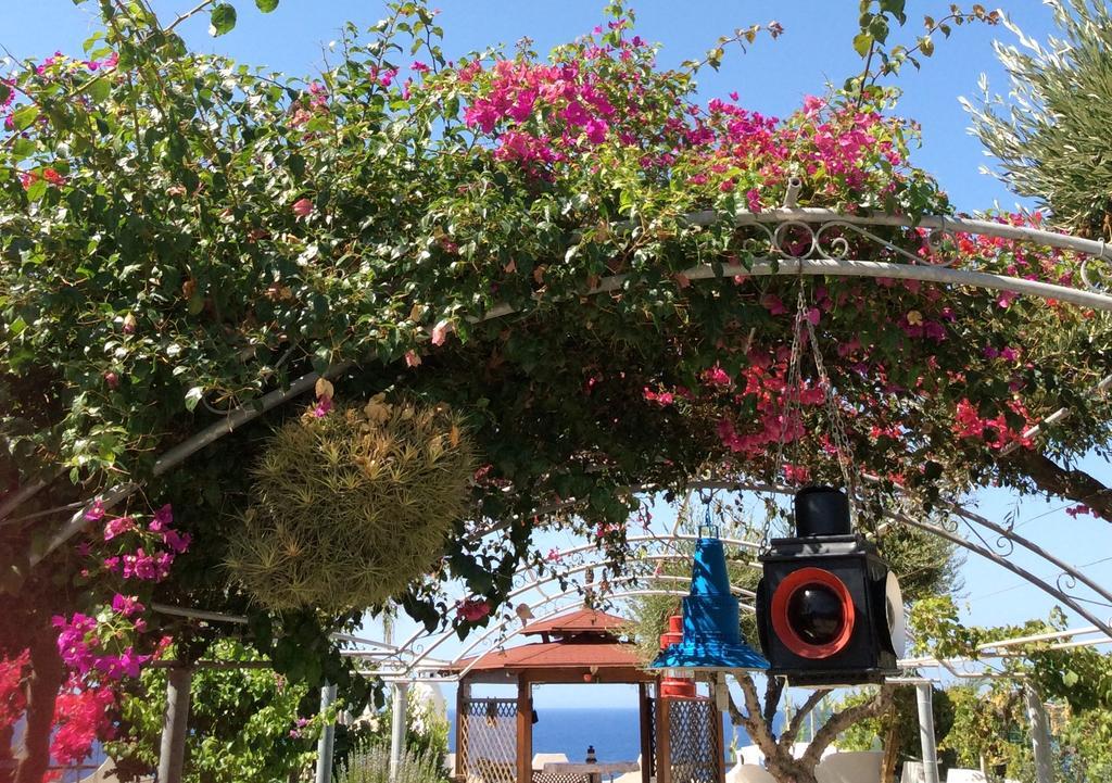Apartament Residenza Stefanelli Capo Vaticano Zewnętrze zdjęcie